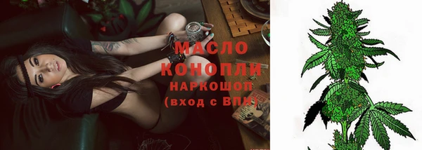 винт Горно-Алтайск