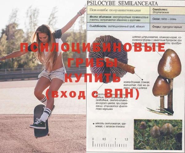 прущая мука Горняк